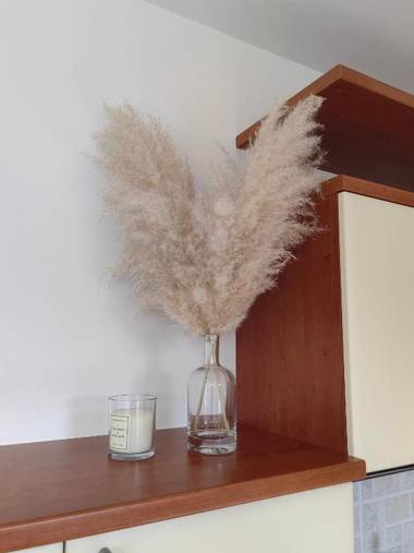 Sea View Apartment & Park View Apartment Bruno Umag