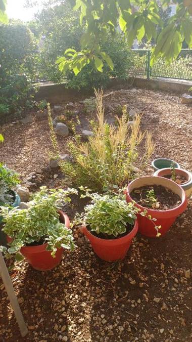 Apartment Hrabar Longo