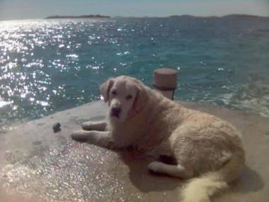 Apartman Tribunj Luji i Andreja