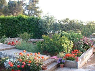 Apartment Šimi - free parking