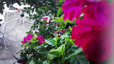 House Danica Apartments & Rooms