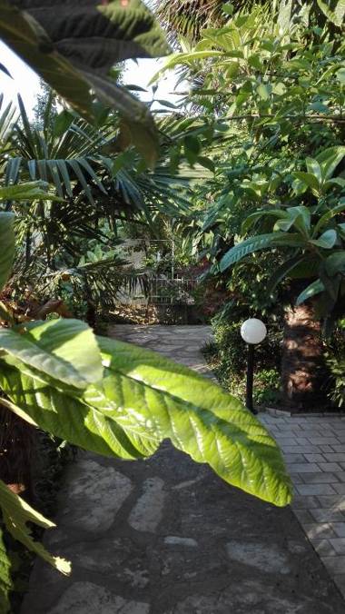 House Danica Apartments & Rooms