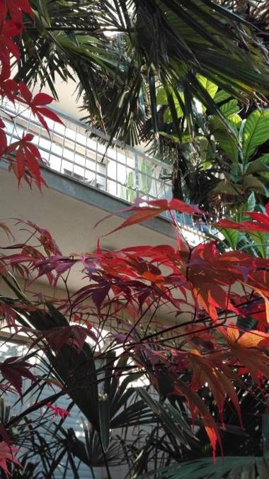 House Danica Apartments & Rooms