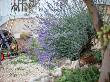 Holiday home Iva with pool