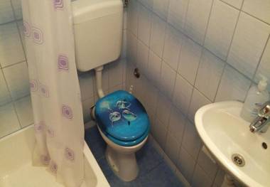 Apartments Igor - near center