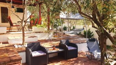 House with big walled oliva garden