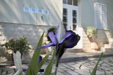 Villa Martinis