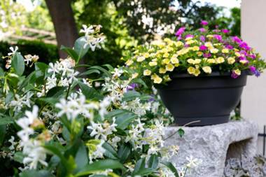 Vana & Tea Luxury Studio Apartment