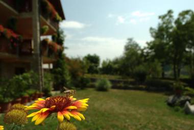 Guest House Nena Rastoke