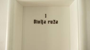 Guest House Villa Herbarium