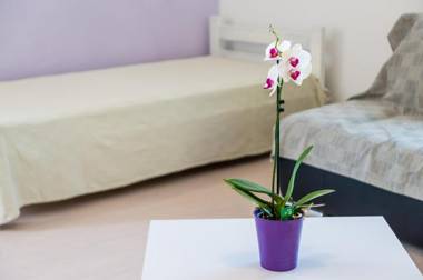 Apartments Kola's Mill