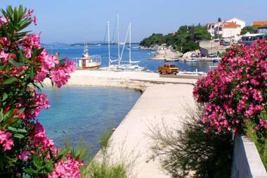 Luxury villa with a swimming pool Brodarica Sibenik - 18803