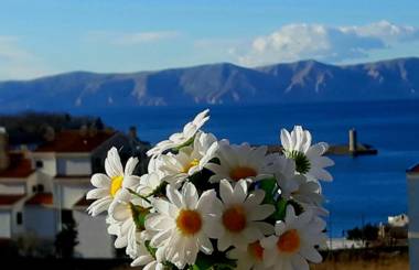 Beautyful sea view 6 studio Danijela