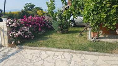 Apartments Ivo - 05km from beach