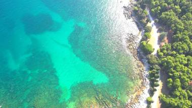 Apartments Ana Wellness