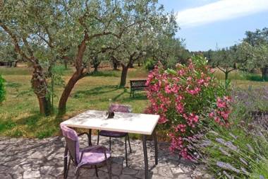 Leandra in Rovinjsko Selo * Istrien