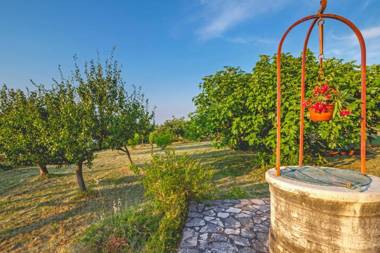 Leandra in Rovinjsko Selo * Istrien