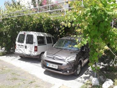 Daisy with new Bestway Pool