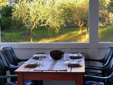 House Draga Accommodation