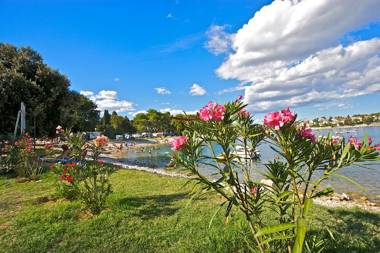 Arena Stoja Camping Homes