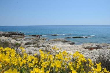 Apartments Grgorinić