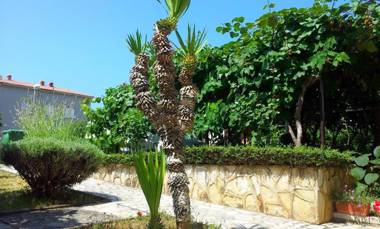 Urban Premium Apartments