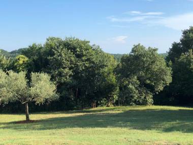 Apartments Villa Verde-Adults Only