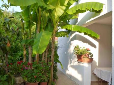 The apartment with air conditioned (for 1-5 people) in the quiet part of Porec