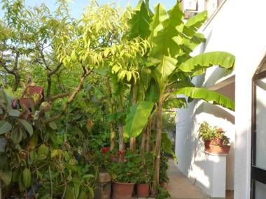 The apartment with air conditioned (for 1-5 people) in the quiet part of Porec