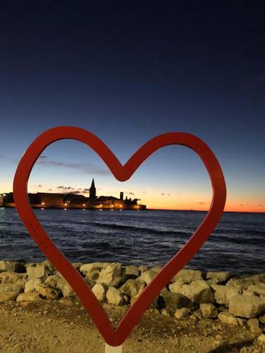 Villa Aleksandar Apartments in Porec