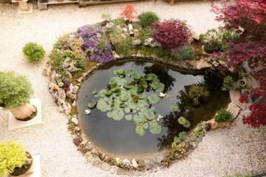 Apartment Beautiful Garden