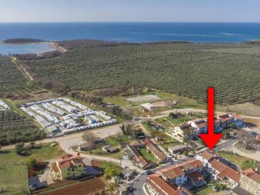 Beautiful decorated apartment with sea view near the olive groves and the sea