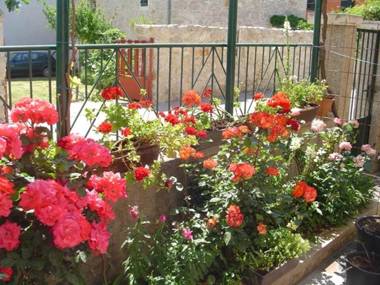 Apartments Ana&Nešo