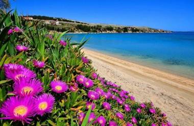 Apartment Ana - near the beach