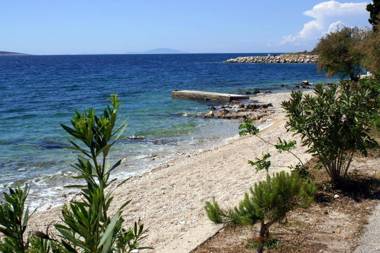 Apartments with a parking space Mandre Pag - 18839