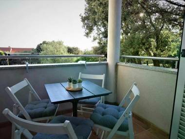 Spacious Apartment in Mandre with Terrace