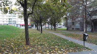 Studio Apartment Vijenac