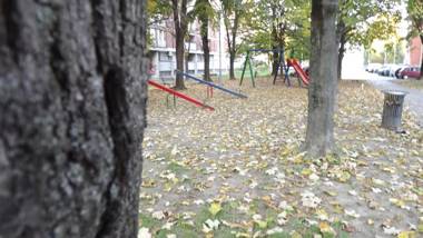 Studio Apartment Vijenac