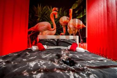 FLAMINGOS Apartman & Fitness OSIJEK