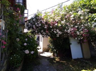 Apartments Placovici