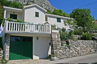 Apartment Ivana Borak