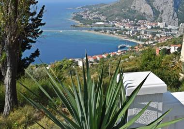 Apartment Ivana Borak