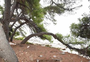 Apartments Ema - 30m from the sea