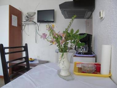 Apts and rooms Stjepan - panoramic view