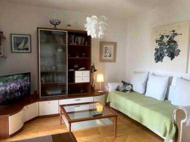 Apartment Zorka 719