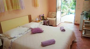 A charming oasis in the city center