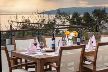 Villa Ribica in Makarska private pool