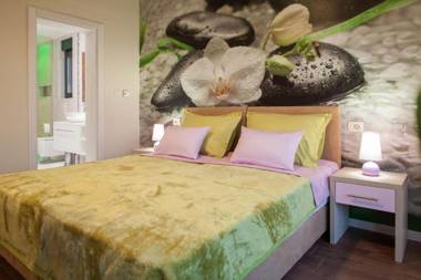 Villa Ribica in Makarska private pool