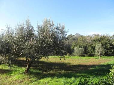 Apartamento Valentina