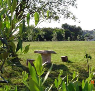 Apartments Mimi - with pool